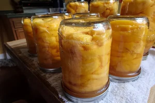 تصویر 2 از خرید  کمپوت گلابی شیشه ای + قیمت عالی باکیفیت